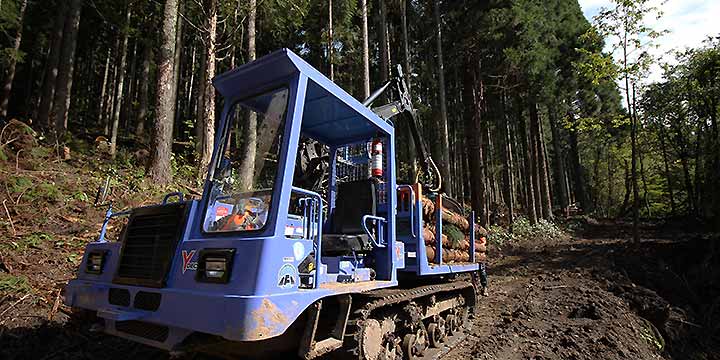 山の手入れ