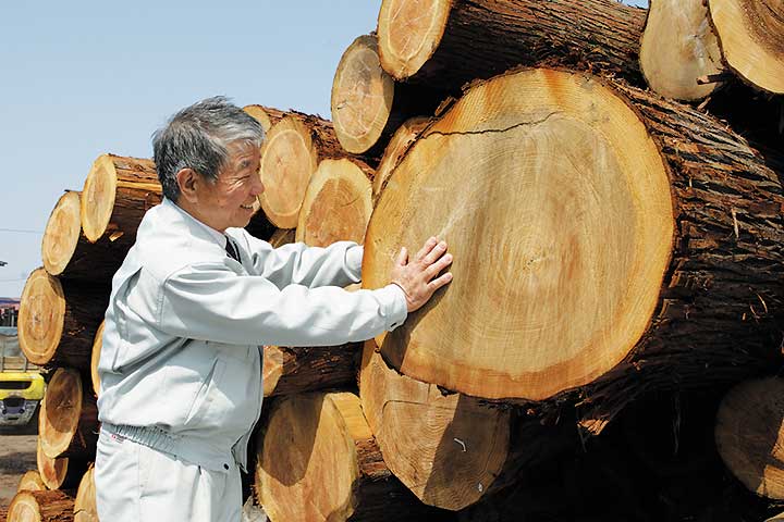 伐採した木と坂詰会長